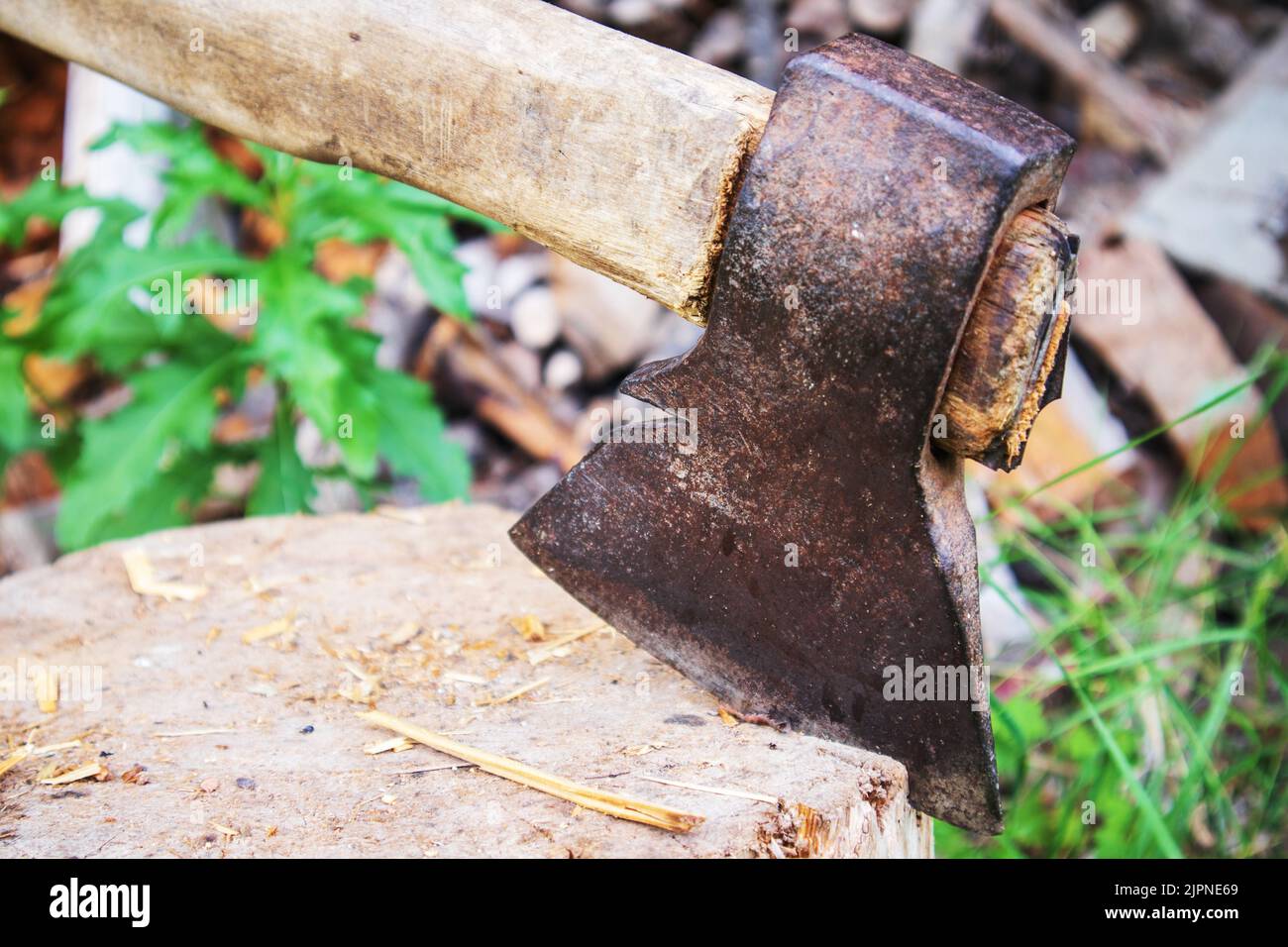 An axe stuck in a old wooden beam in the dark green grass Stock Photo