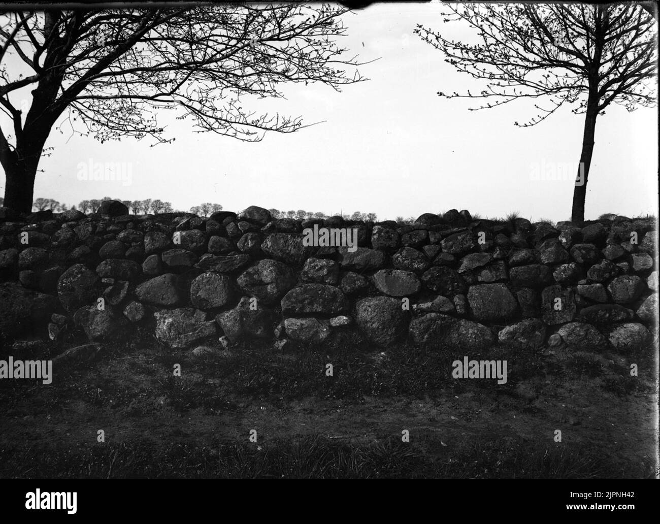 Settlement for stone washed Boplats för stenskvätta Stock Photo