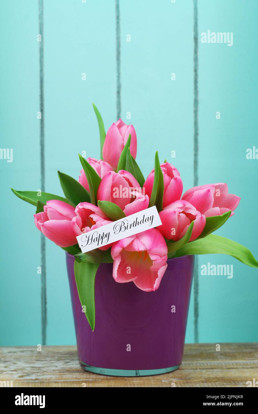 Happy birthday card with pink tulips in purple flower pot Stock Photo