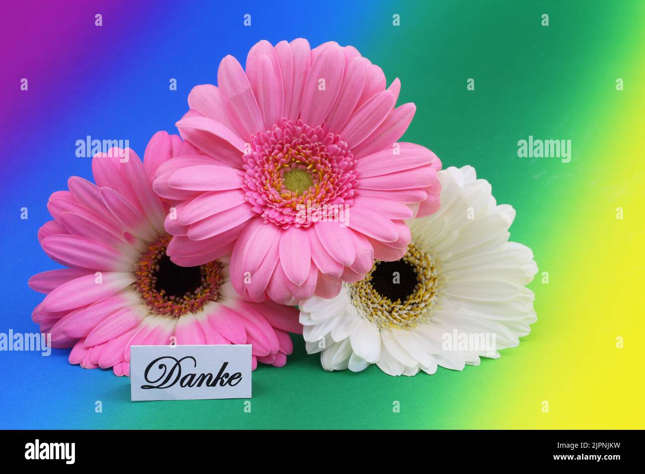Danke (thank you in German) card with three colorful daisy flowers on rainbow background Stock Photo
