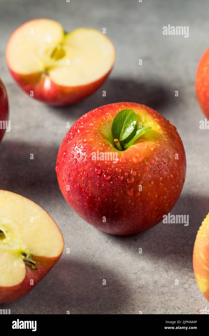 https://c8.alamy.com/comp/2JPNM4P/raw-red-organic-cosmic-crisp-apples-in-a-bunch-2JPNM4P.jpg