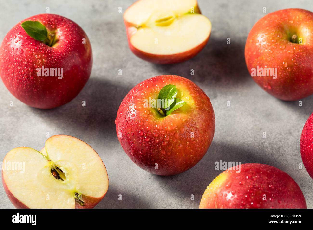 Raw Red Organic Cosmic Crisp Apples in a Bunch Stock Photo