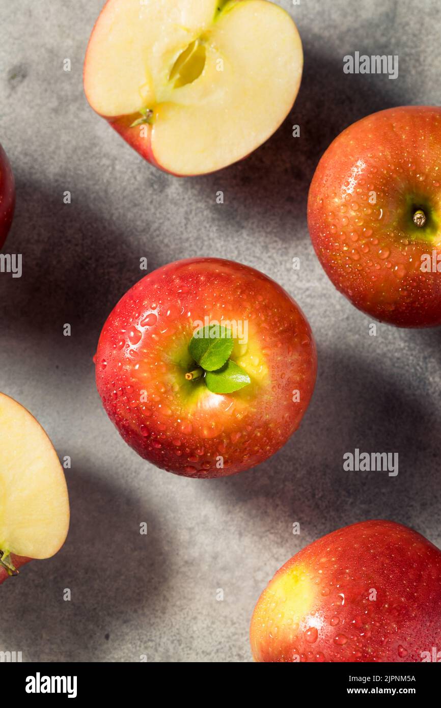 https://c8.alamy.com/comp/2JPNM5A/raw-red-organic-cosmic-crisp-apples-in-a-bunch-2JPNM5A.jpg