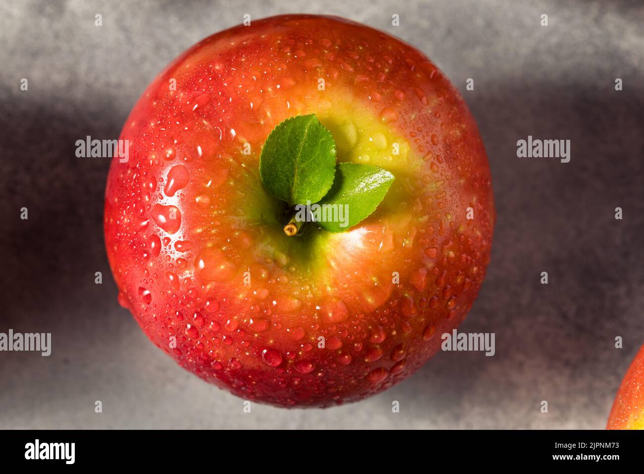 https://c8.alamy.com/comp/2JPNM73/raw-red-organic-cosmic-crisp-apples-in-a-bunch-2JPNM73.jpg