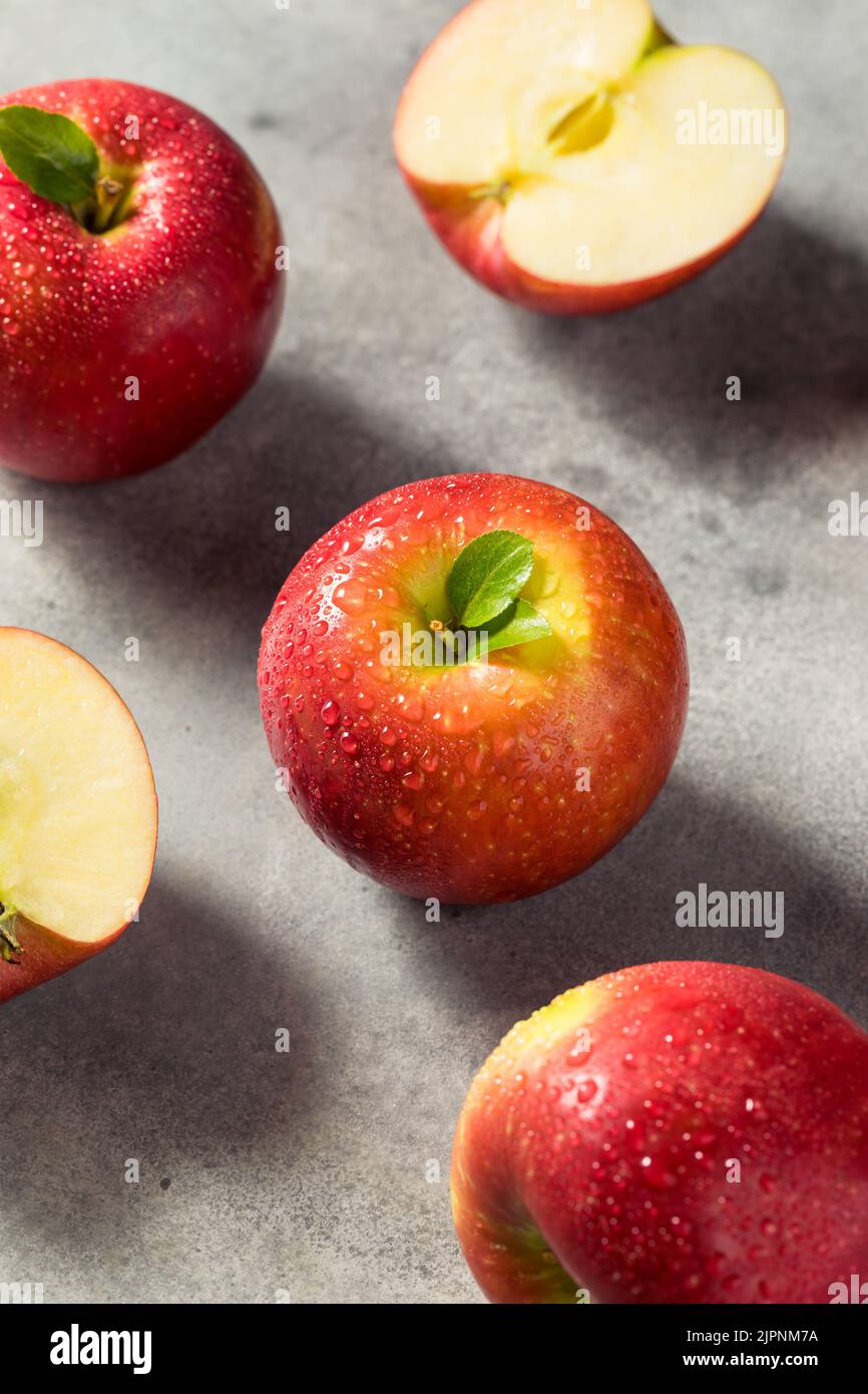 https://c8.alamy.com/comp/2JPNM7A/raw-red-organic-cosmic-crisp-apples-in-a-bunch-2JPNM7A.jpg