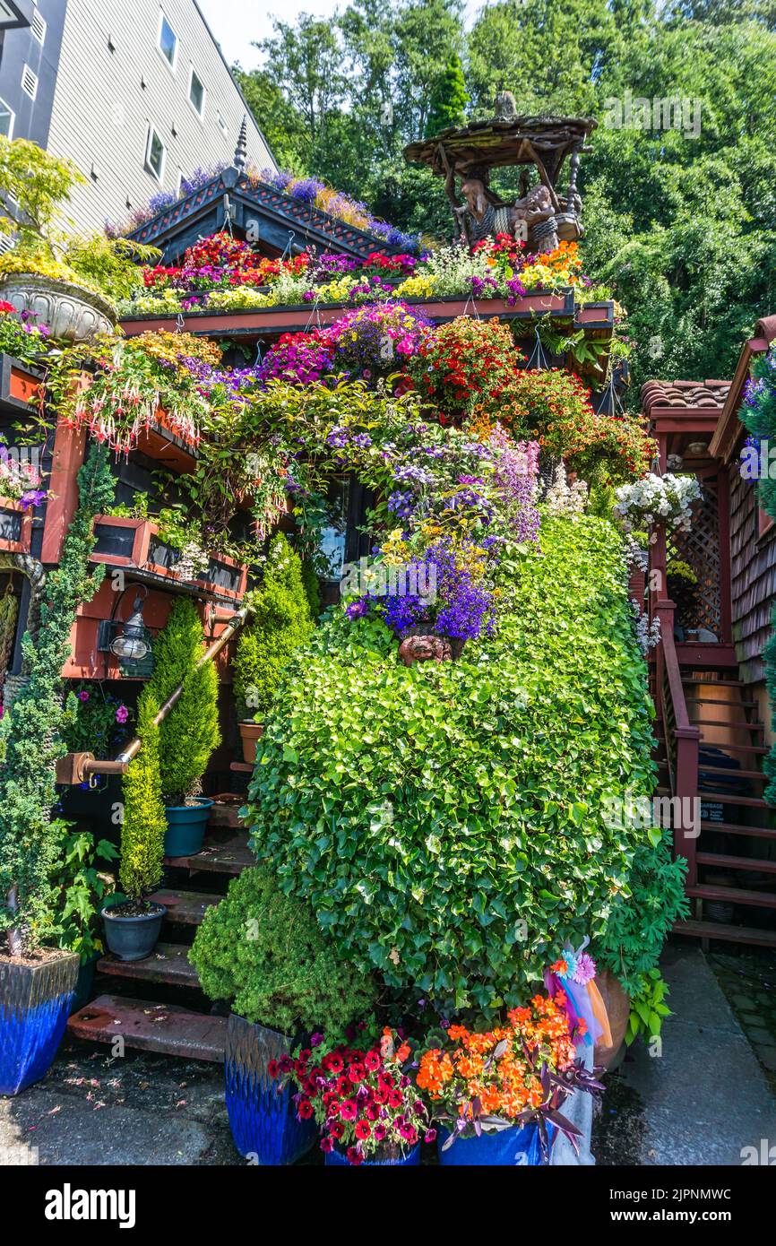 Different colorful flowers in hanging baskets in West Seattle