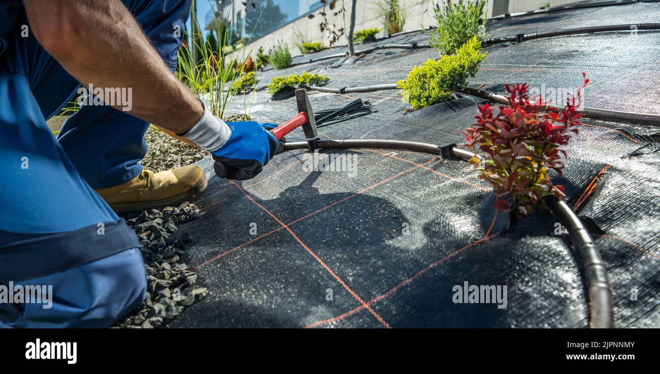 Garden Watering Technologies Specialist Installing Plastic Drip