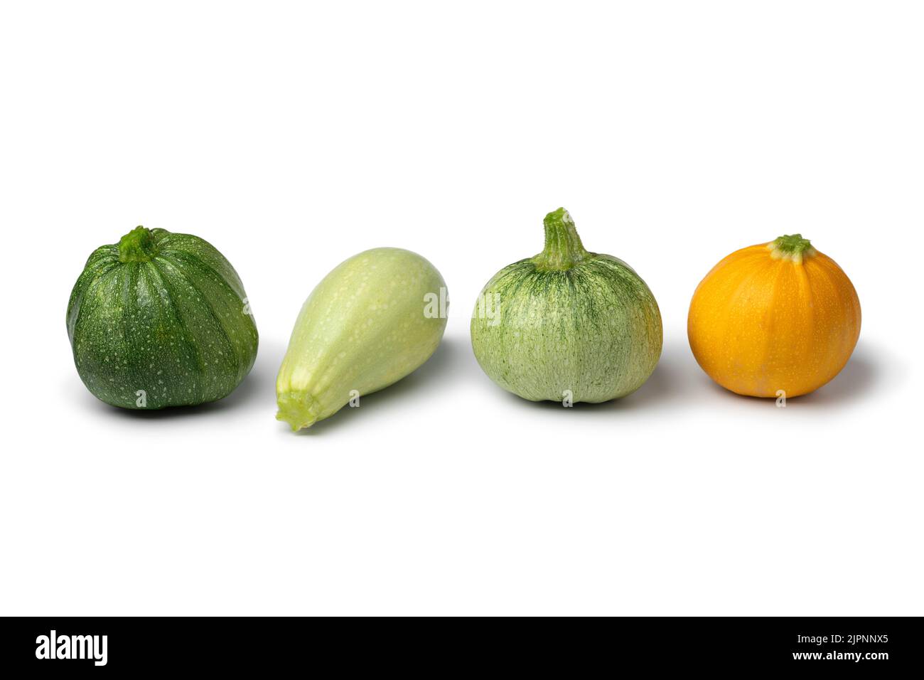 Row of variation of fresh homegrown zucchini close up isolated on white background Stock Photo