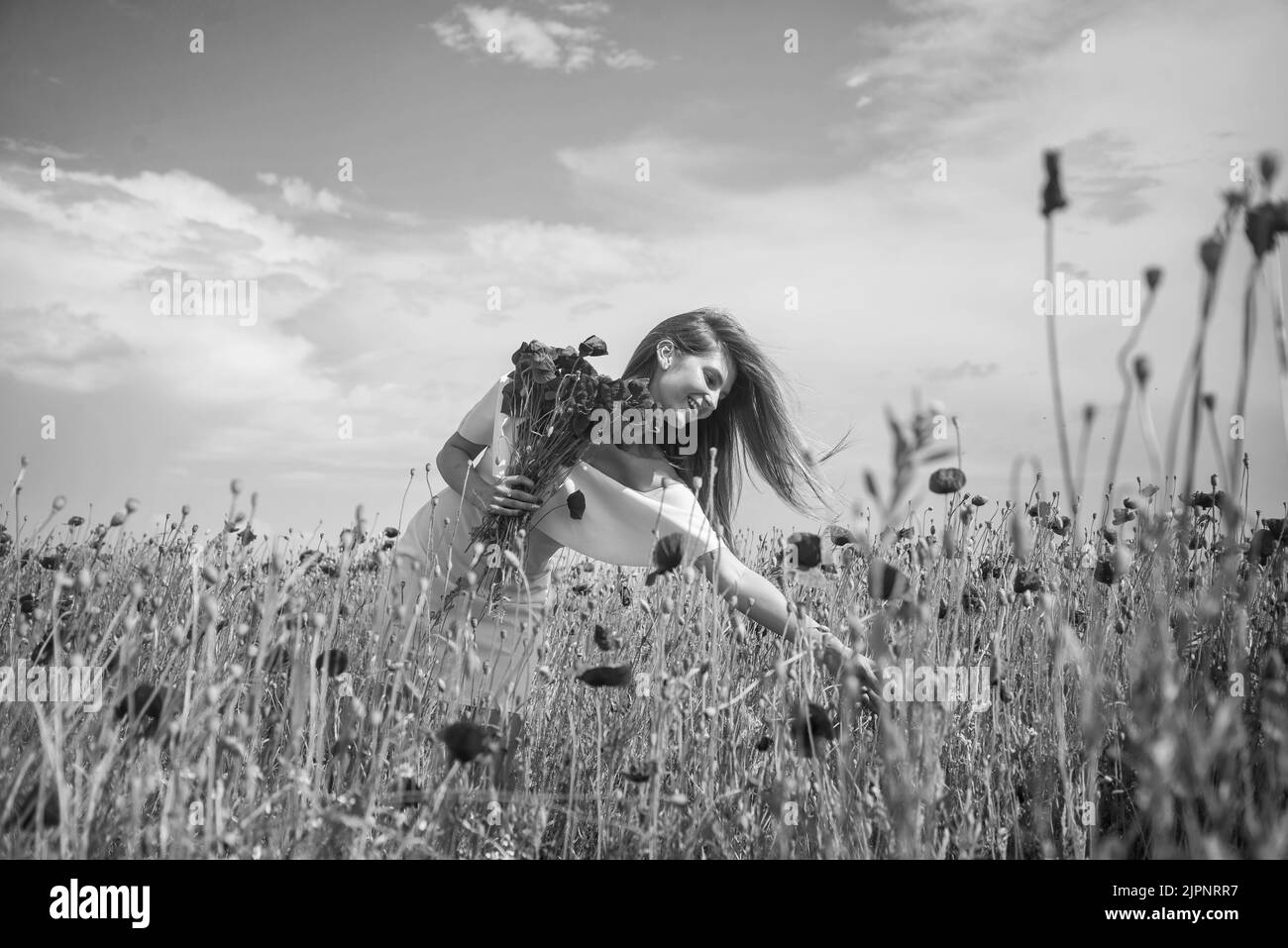 Happy woman in white dress on field of poppies at summer sunset, summer ...