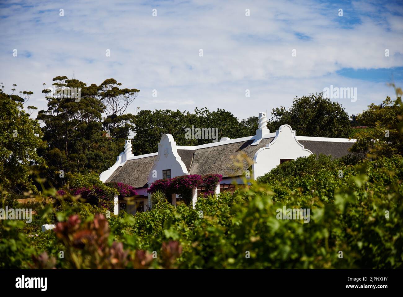 The Constantia Glen building a wine estate in Constantia South Africa Stock Photo Alamy