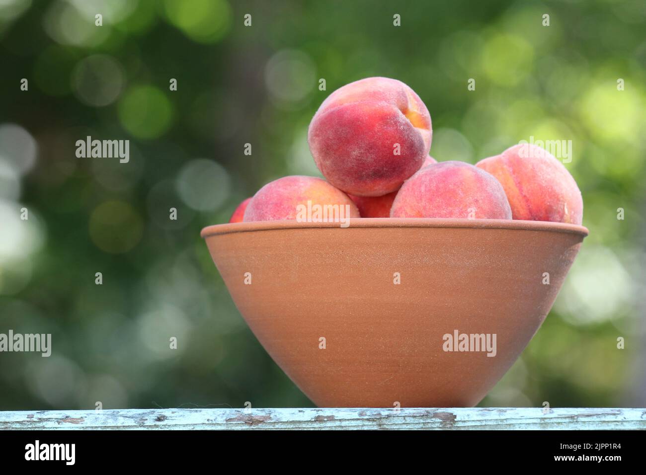 An earthenware bowl of freshly picked ripe peaches ready to eat in late summer in New England Stock Photo