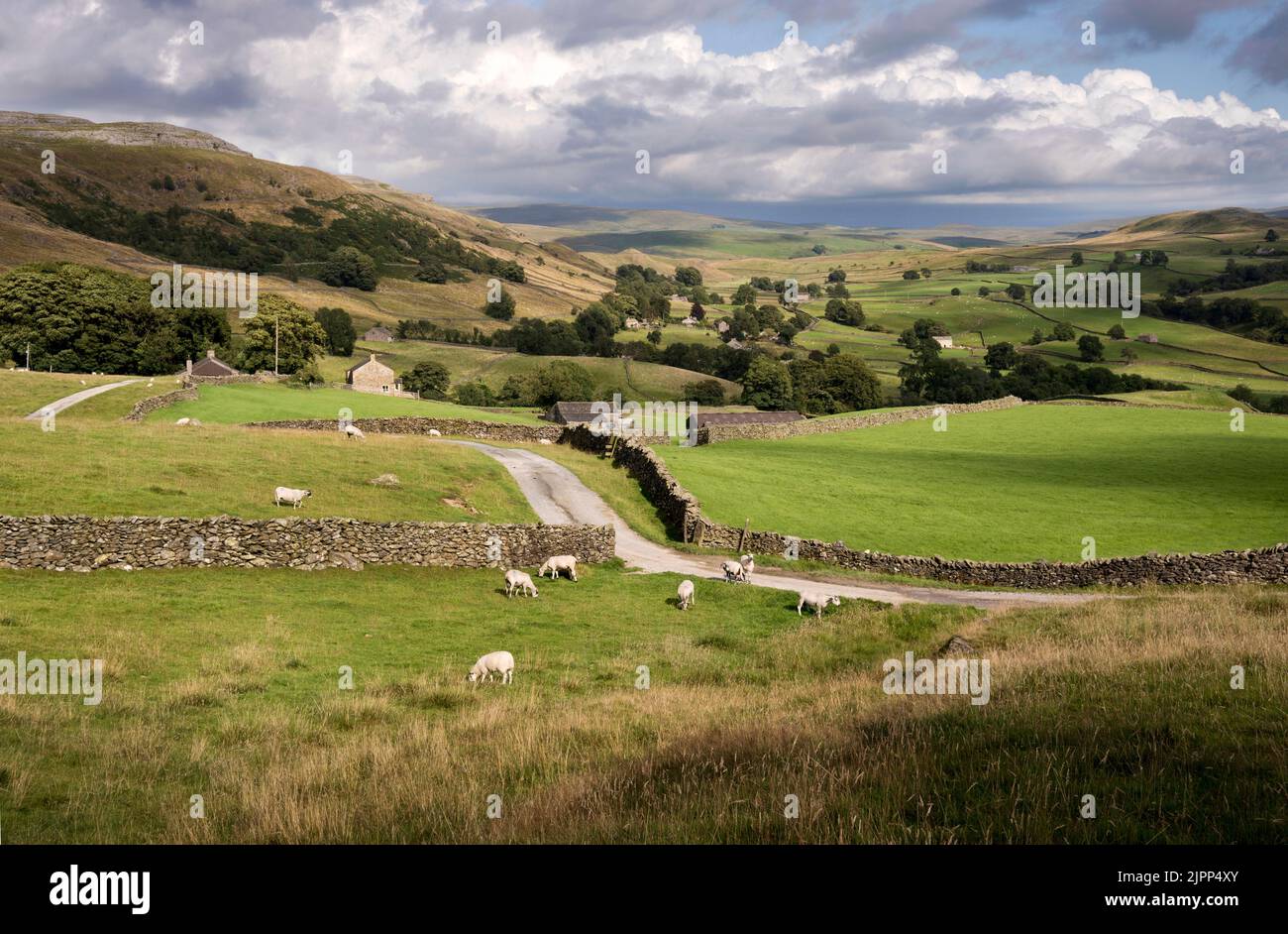 A view of Crummackdale, near the village of Austwick, Yorkshire Dales National Park, UK Stock Photo