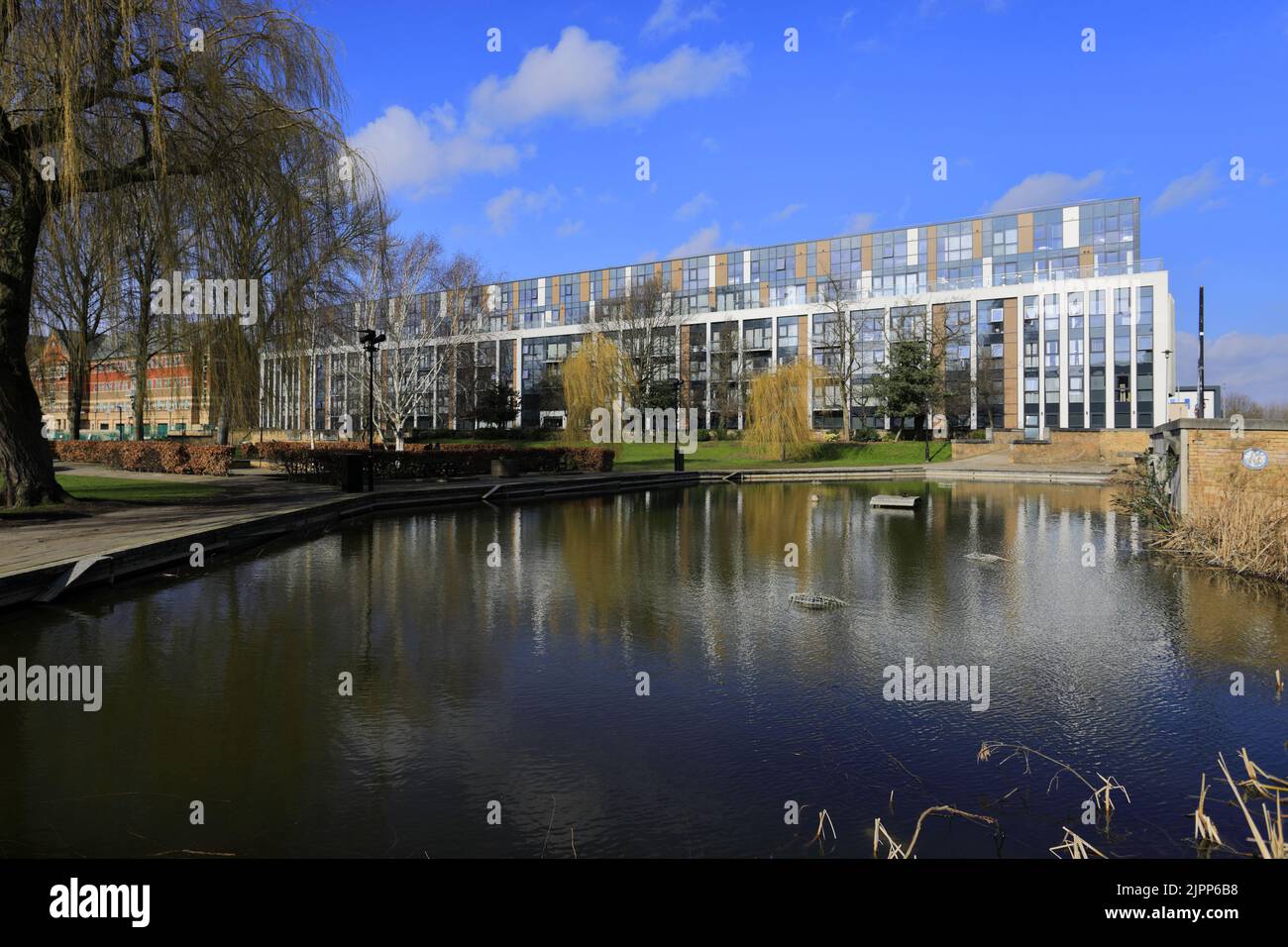 The Hull College, Wilberforce Drive, Kingston-upon-Hull, East Riding of Yorkshire, Humberside, England, UK Stock Photo