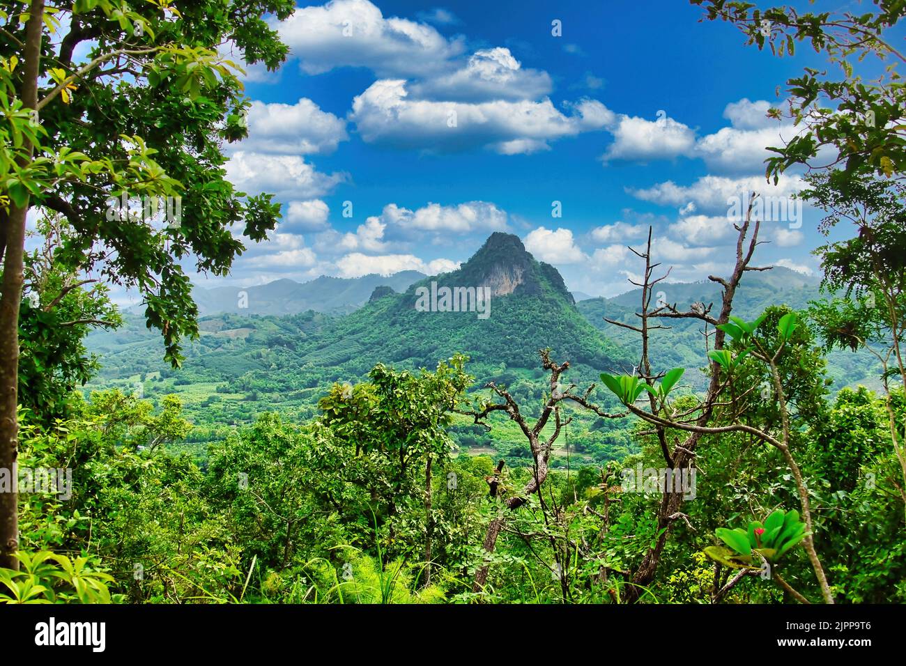 Gypsy Rabbit Temple View from the temple Wat Pra Putthabat Phu Kwai Ngoen (the Rabbit ...