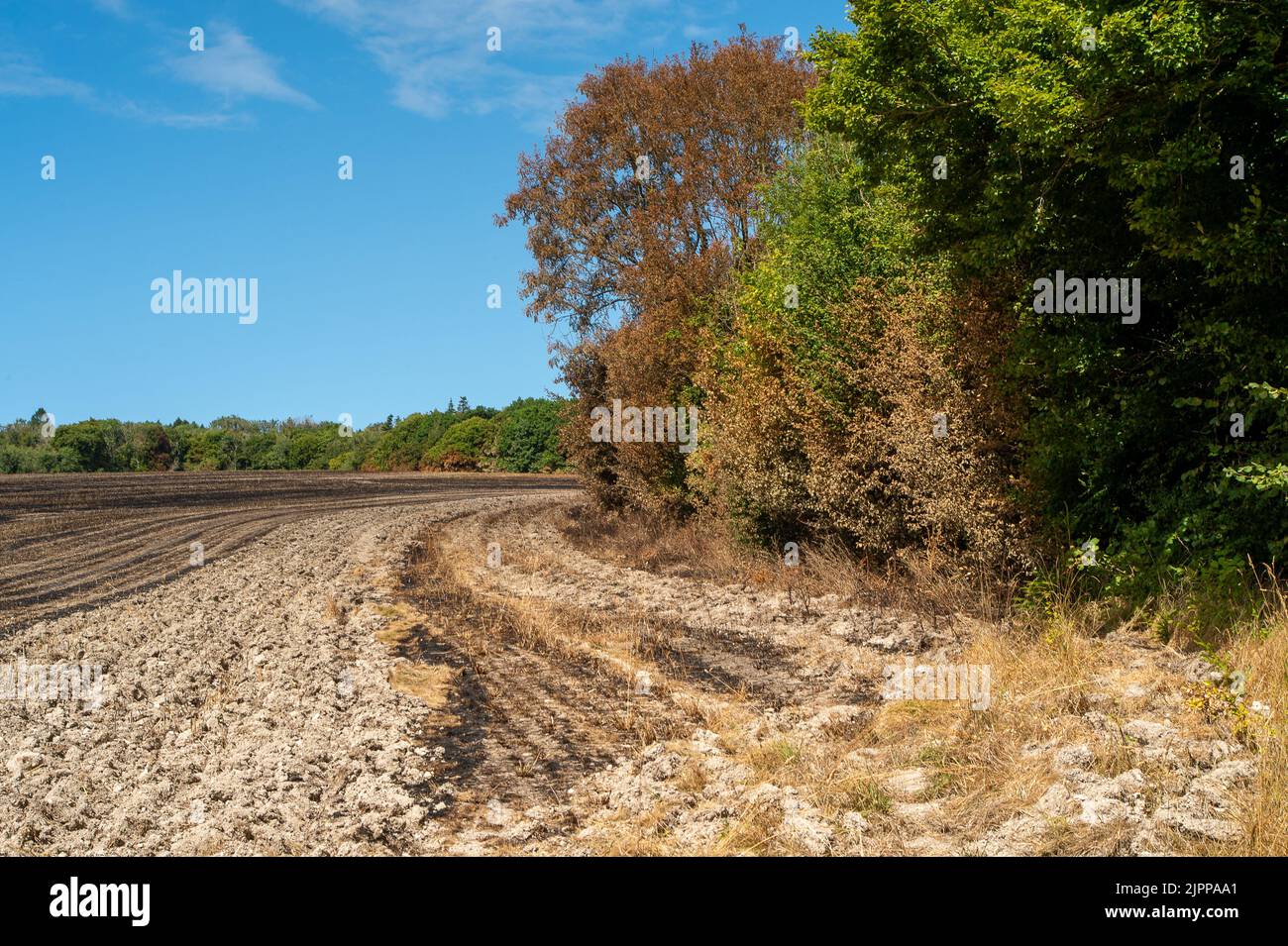 Wendover, Buckinghamshire, UK. 19th August, 2022. The aftermath of a
