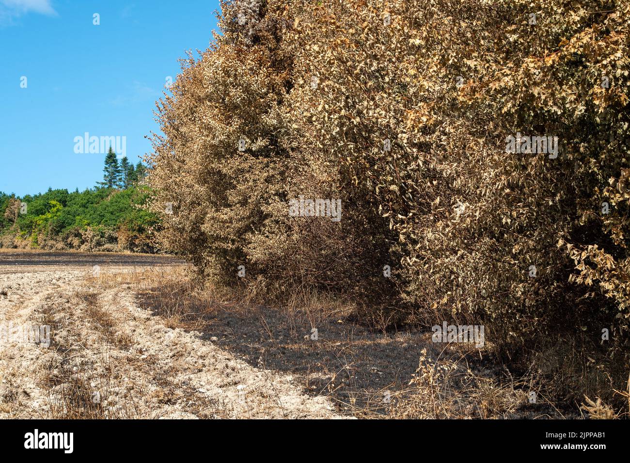 Extinguished footpath hires stock photography and images Alamy