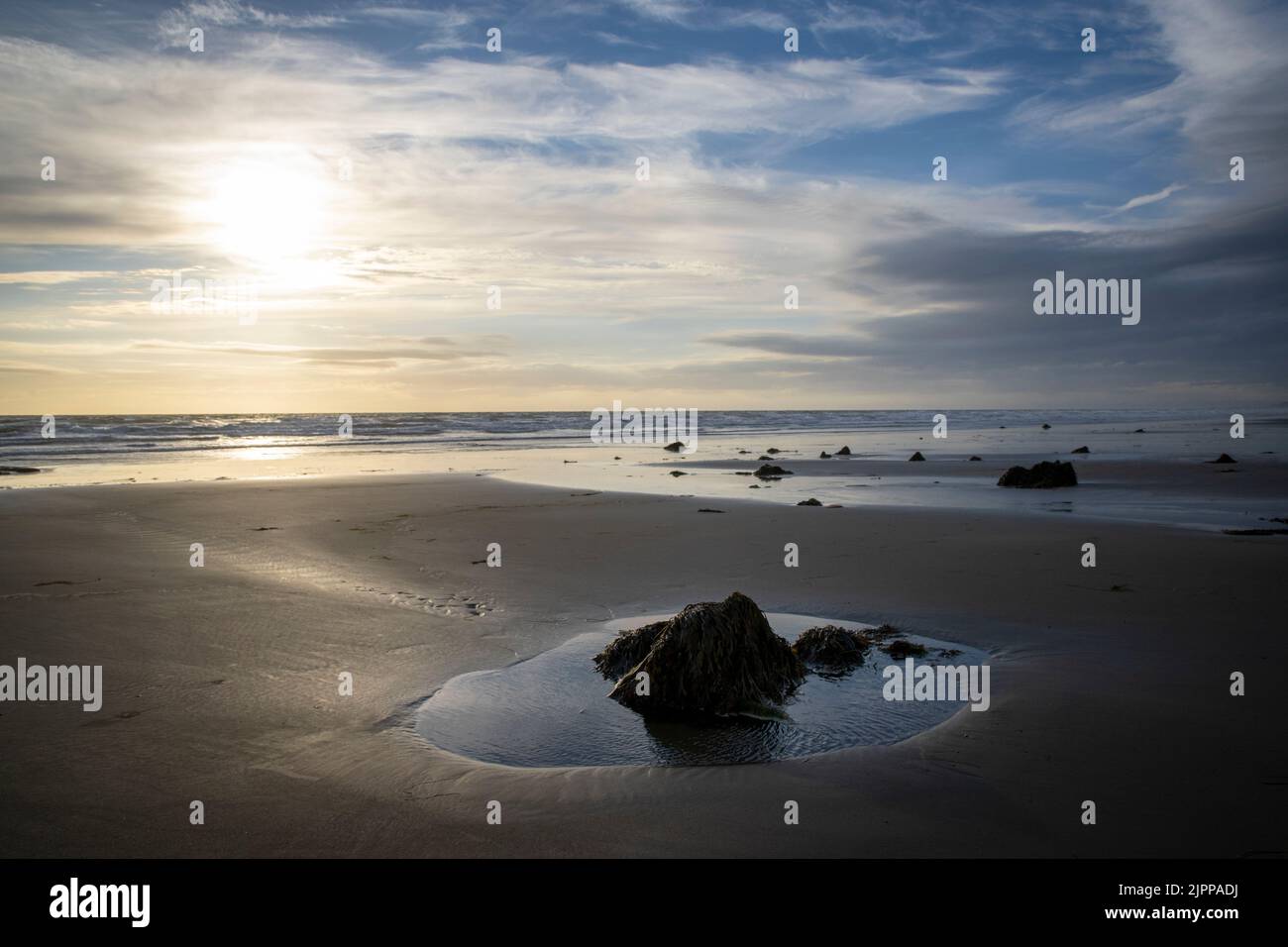 the petrified forest in borth Stock Photo