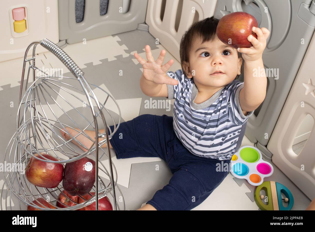 11 month old baby boy at home holding up apple with one hand and looking at it Stock Photo