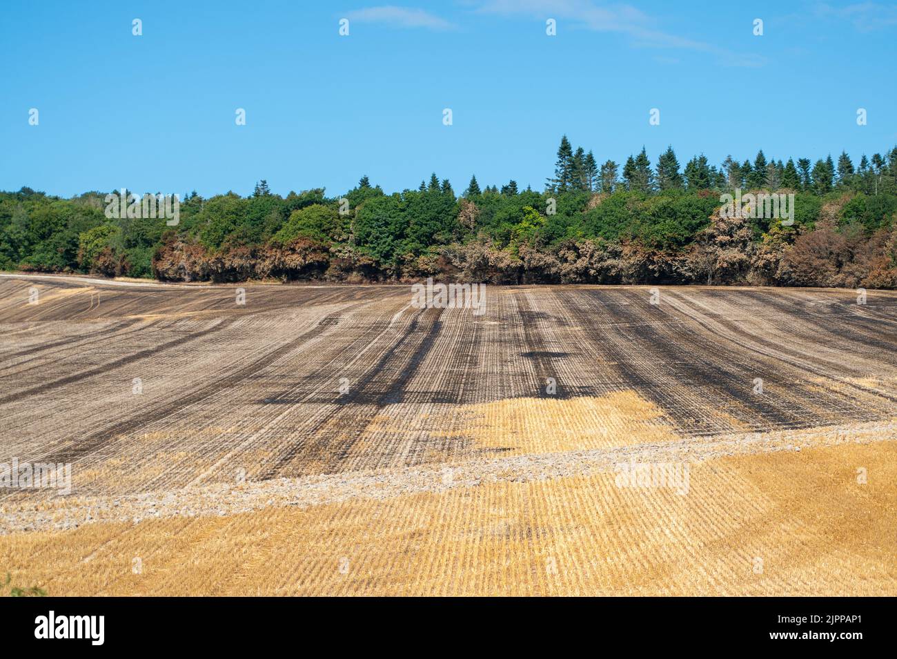 Wendover, Buckinghamshire, UK. 19th August, 2022. The aftermath of a