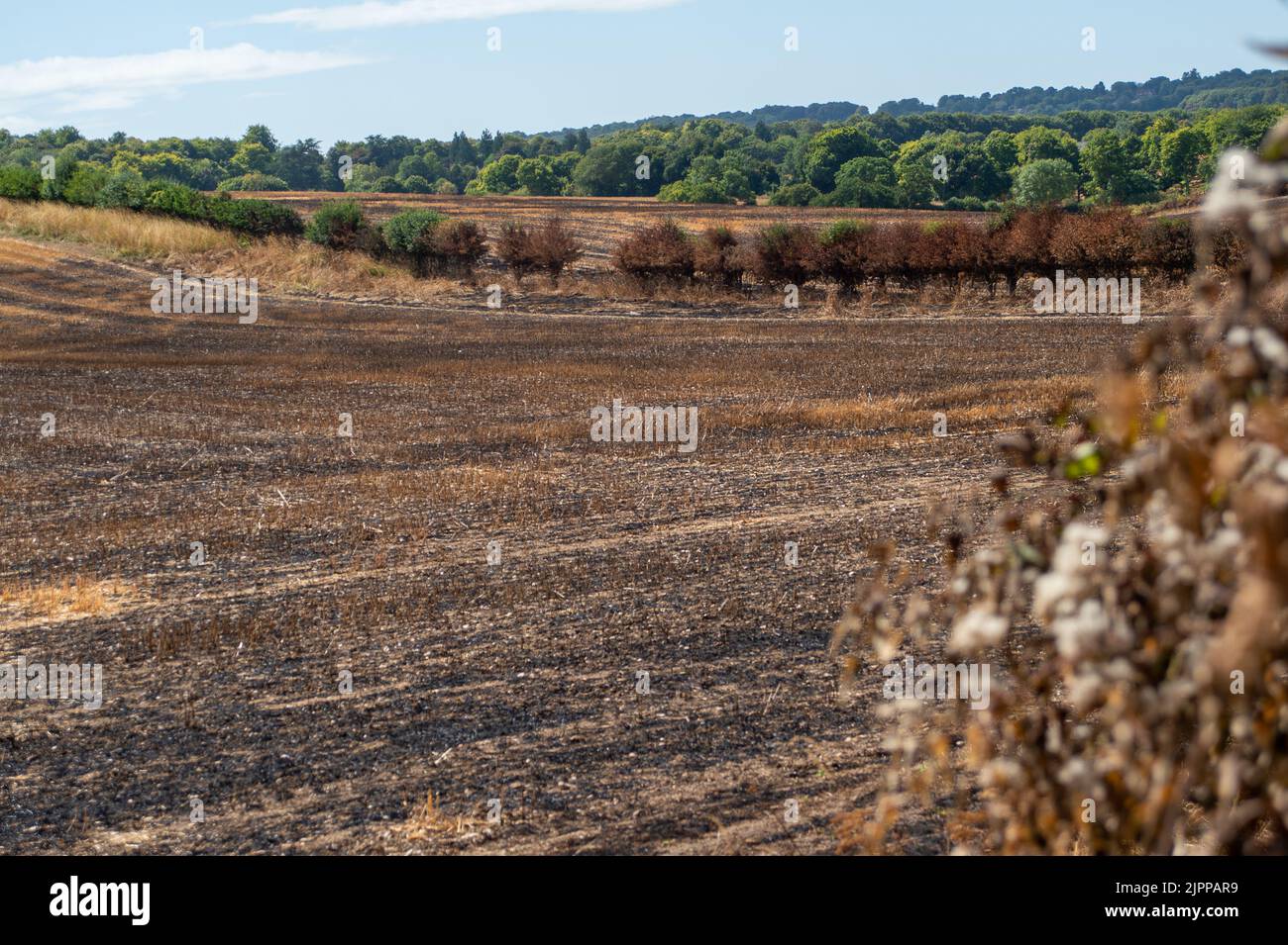 Extinguished footpath hires stock photography and images Alamy