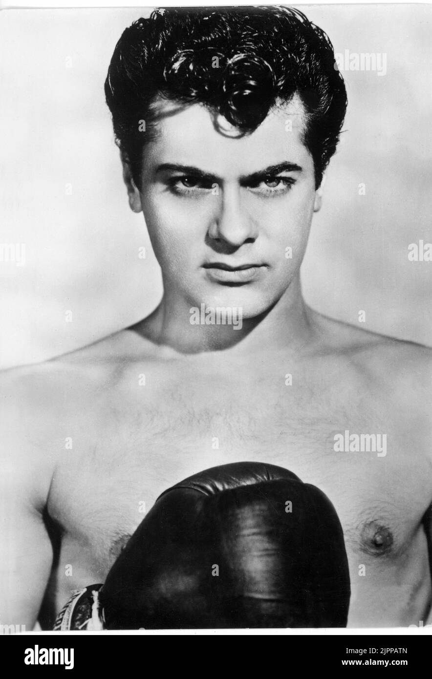 1955 , USA : The movie actor   TONY CURTIS ( 1925 - 2010 ) , pubblicity still for THE SQUARE JUNGLE ( La giungla del quadrato ) by Jerry Hopper - CINEMA - FILM  - sex-symbol - sex symbol  - barechested - torso nudo - pugile - pugilato - boxeur - box - beefcake ----  Archivio GBB Stock Photo