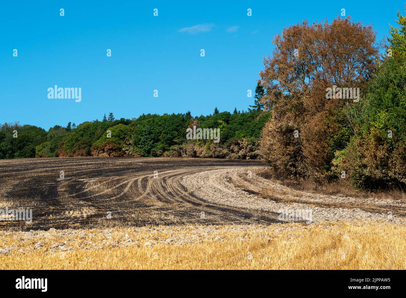 Extinguished footpath hires stock photography and images Alamy