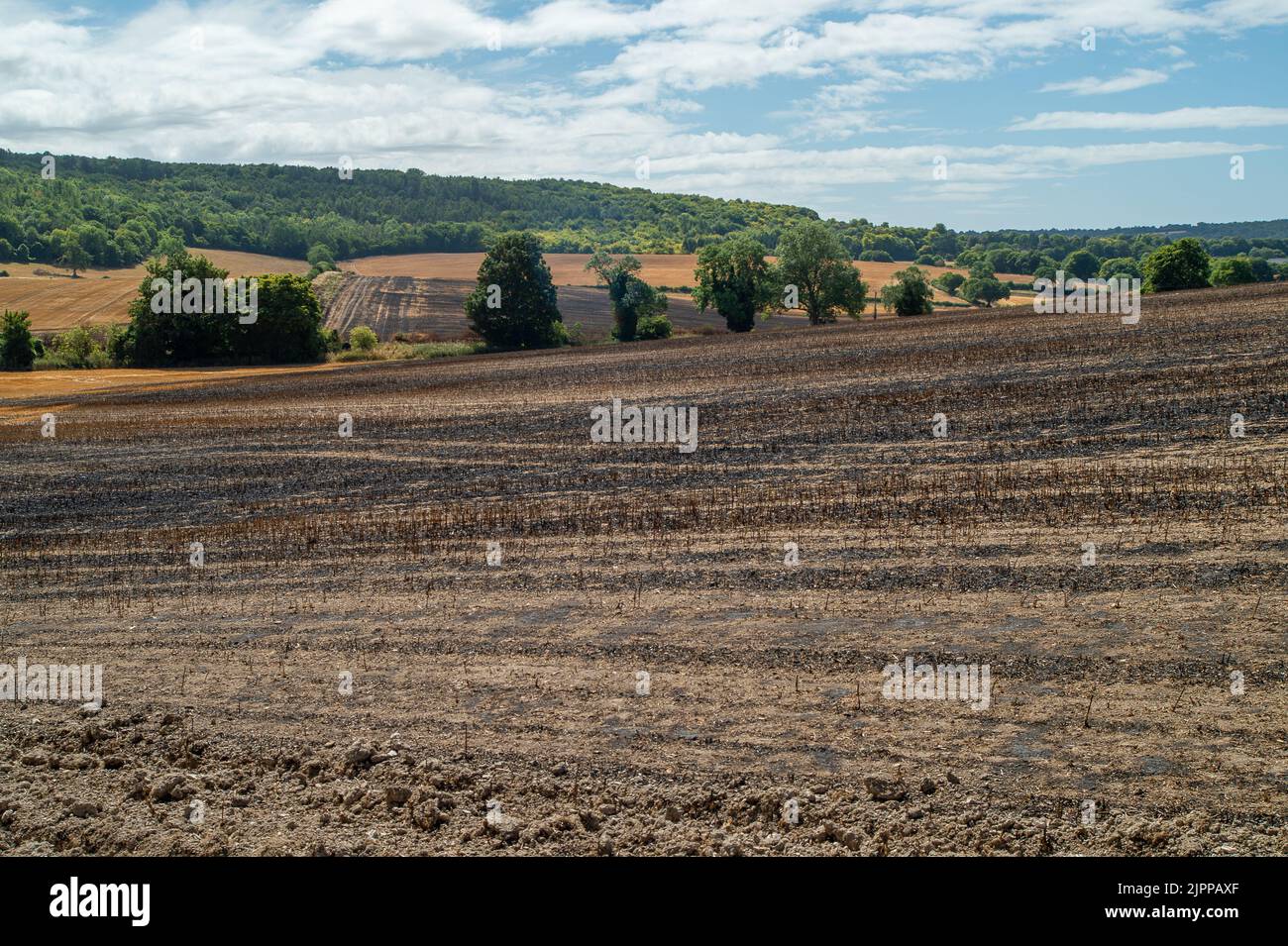 Extinguished footpath hires stock photography and images Alamy