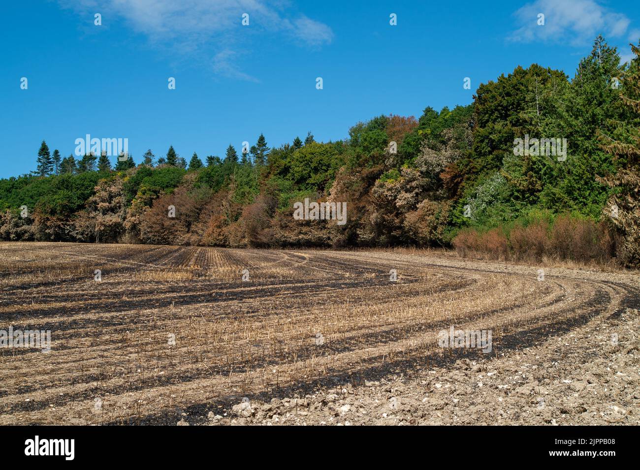 Wendover, Buckinghamshire, UK. 19th August, 2022. The aftermath of a