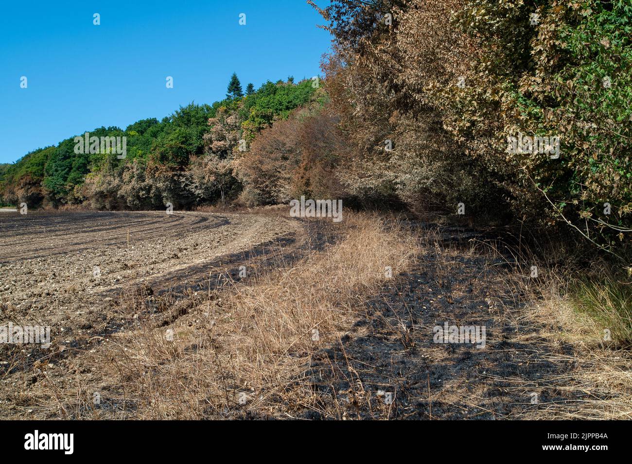 Extinguished footpath hires stock photography and images Alamy