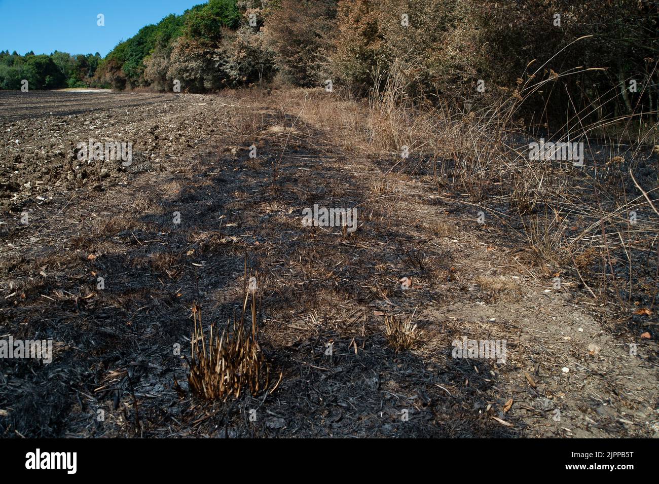 Wendover, Buckinghamshire, UK. 19th August, 2022. The aftermath of a