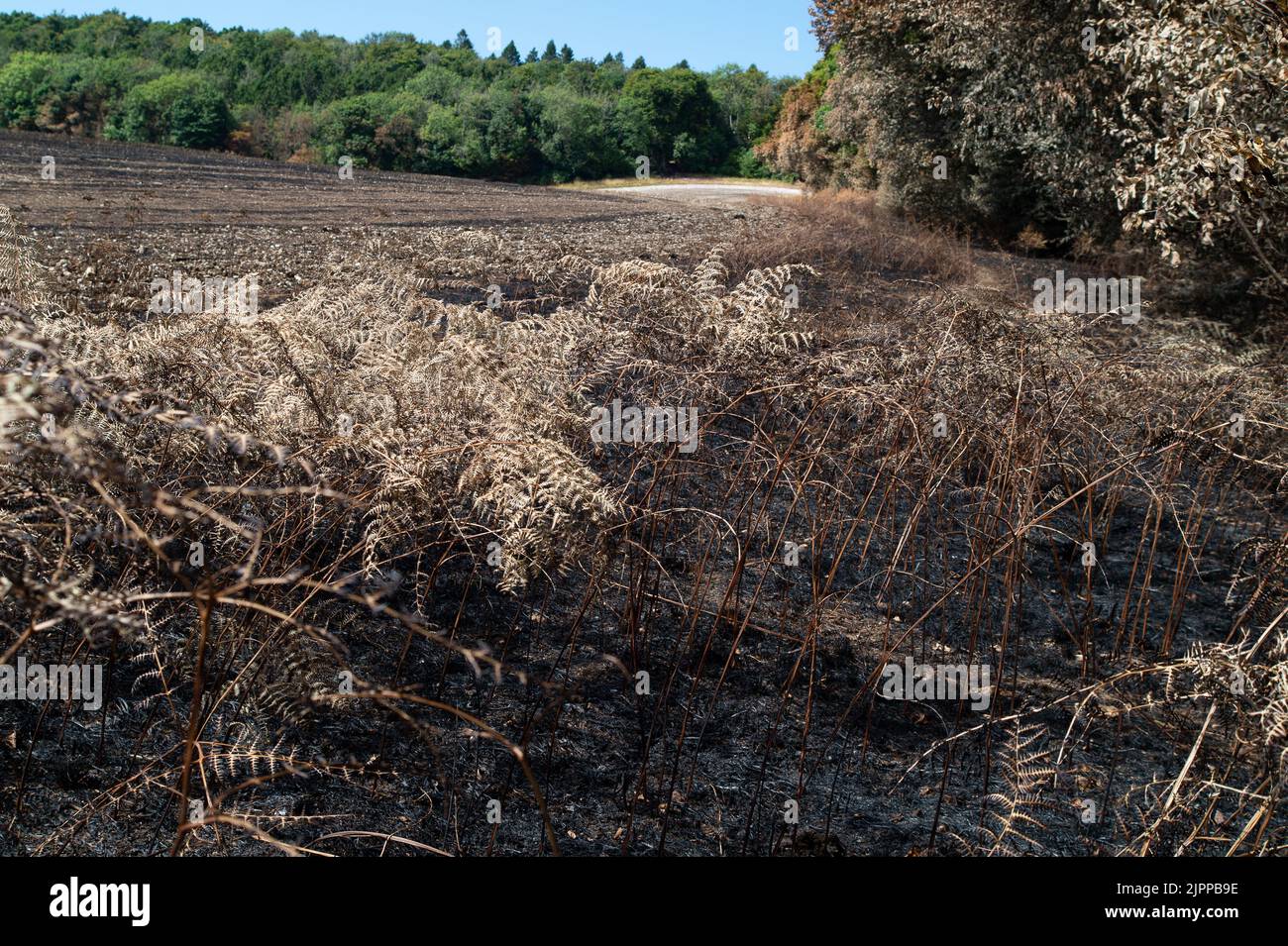 Wendover, Buckinghamshire, UK. 19th August, 2022. The aftermath of a