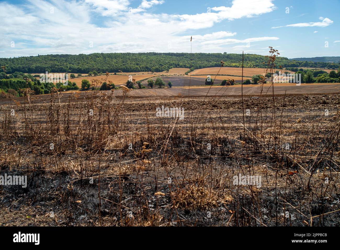 Wendover, Buckinghamshire, UK. 19th August, 2022. The aftermath of a