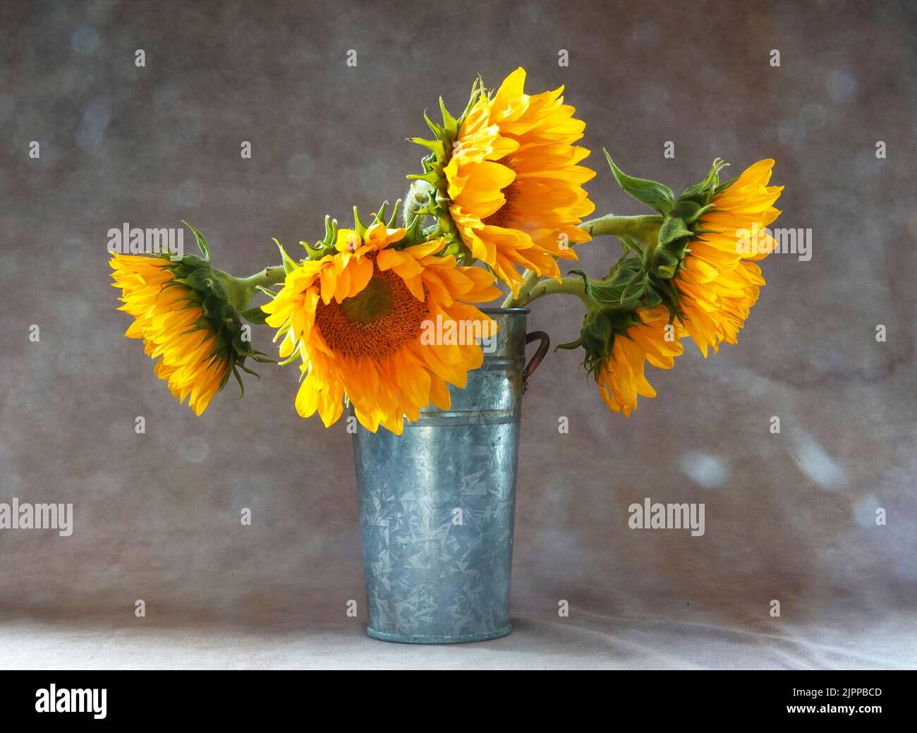 A bouquet of yellow sunflowers in a metal vase Stock Photo - Alamy
