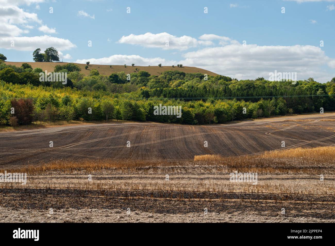 Wendover, Buckinghamshire, UK. 19th August, 2022. The aftermath of a