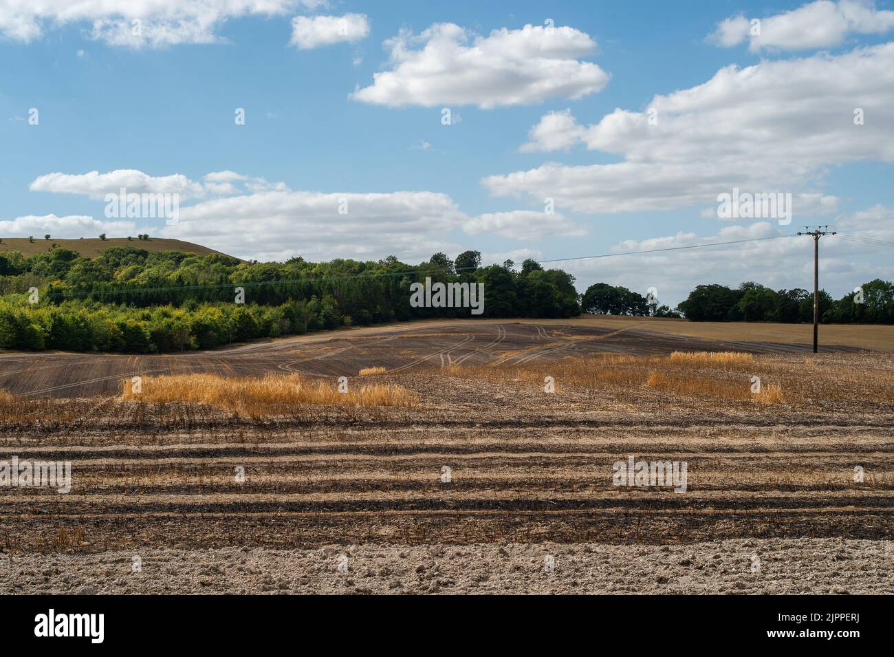 Rescue natures Fotos und Bildmaterial in hoher Auflösung Alamy