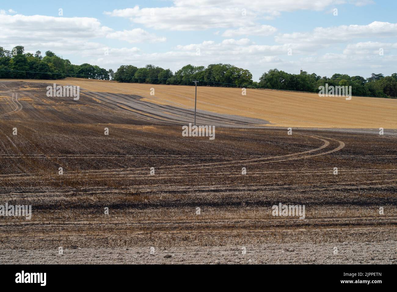 Rescue natures Fotos und Bildmaterial in hoher Auflösung Alamy