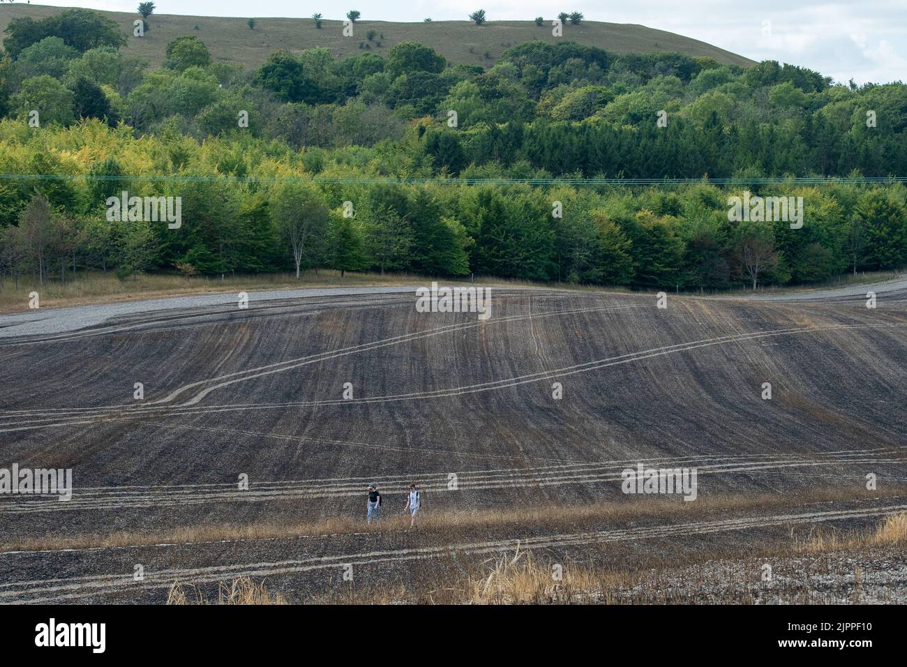 Rescue natures Fotos und Bildmaterial in hoher Auflösung Alamy