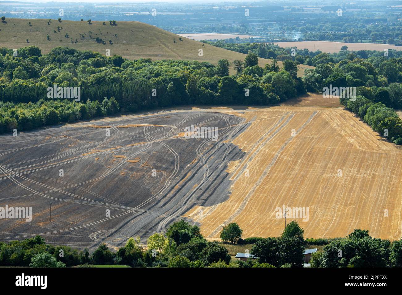 Rescue natures Fotos und Bildmaterial in hoher Auflösung Alamy