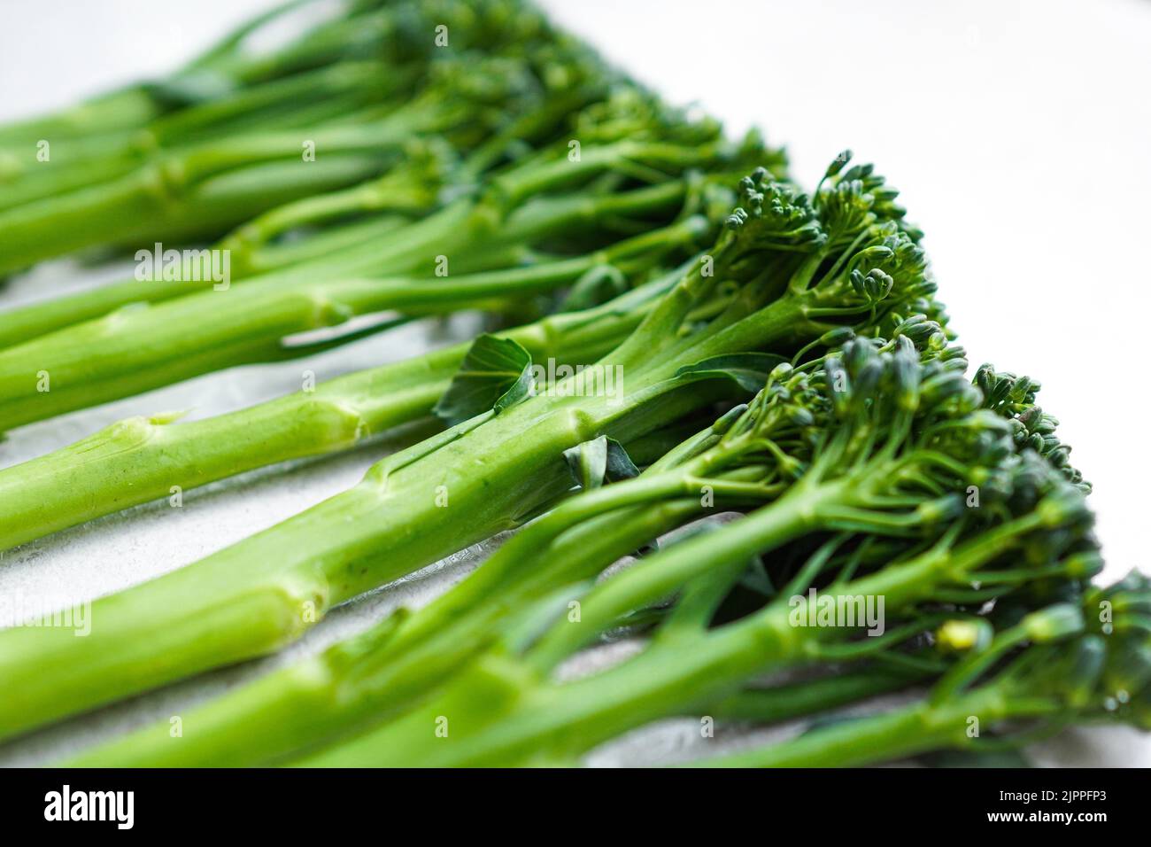 fresh green broccolini (baby broccoli) Stock Photo