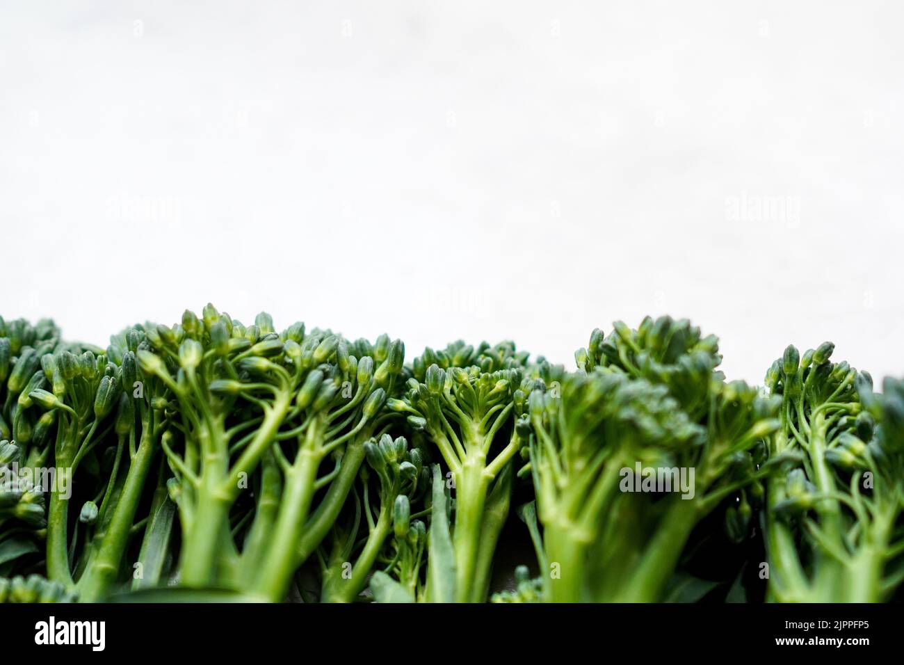 fresh green broccolini (baby broccoli) Stock Photo