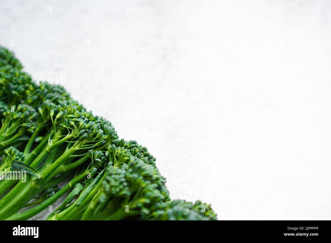 fresh green broccolini (baby broccoli) Stock Photo