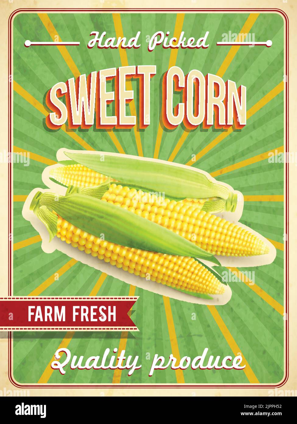 Sweet farm fresh corn poster with corn-cobs realistic vector illustration Stock Vector