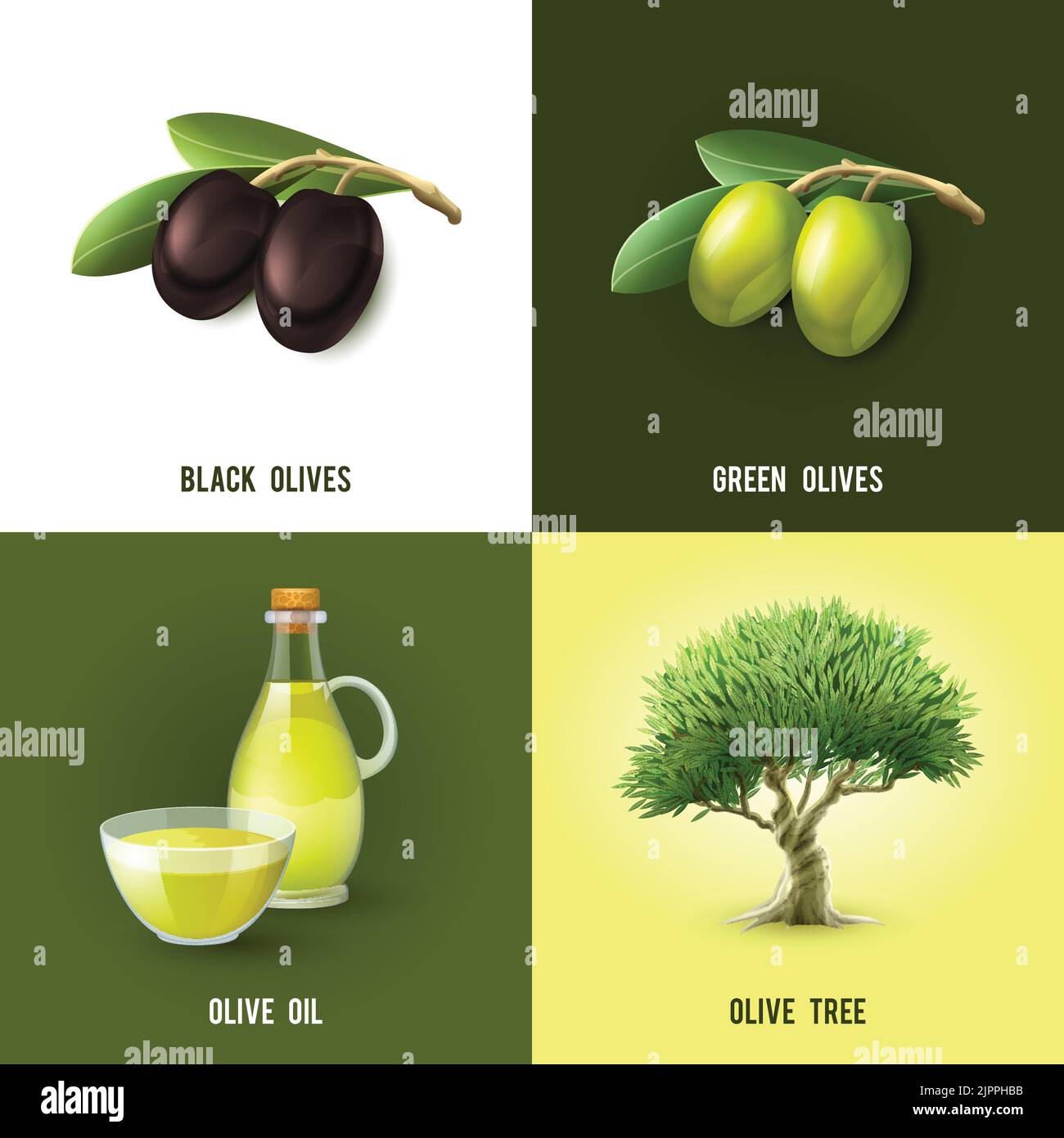 Olive design concept set with black and green olives oil and tree icons isolated vector illustration Stock Vector