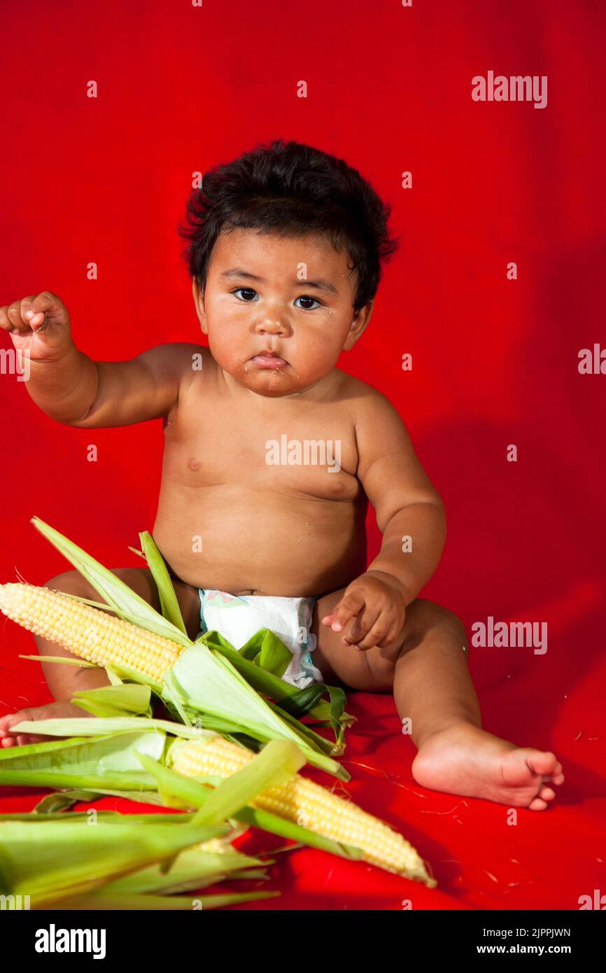 Healthy Native American baby, from the Santa Clara Pueblo in New Mexico, plays with  cobs of corn which are a traditional food of the Pueblo Indians. Stock Photo