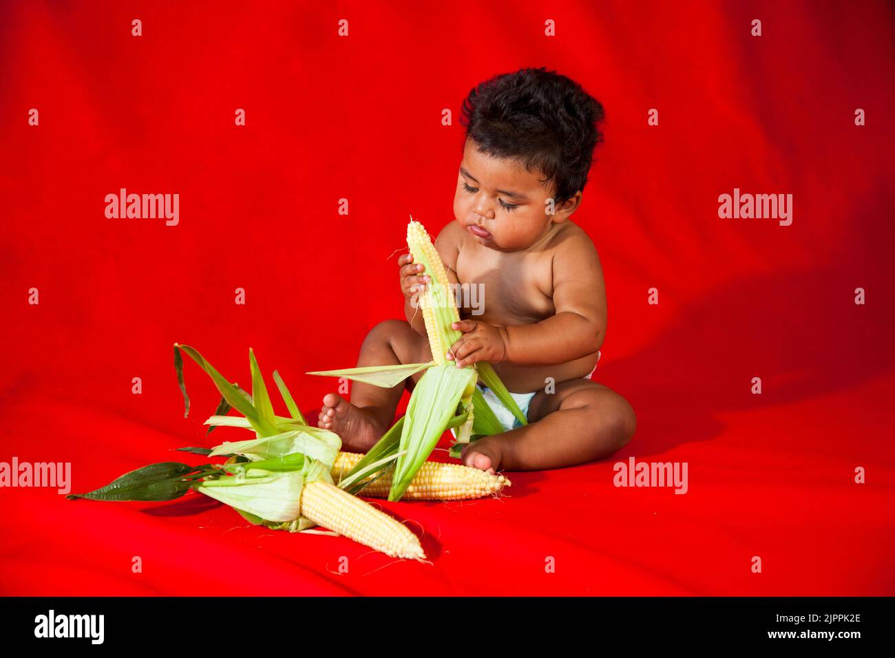 Healthy Native American baby, from the Santa Clara Pueblo in New Mexico, plays with  cobs of corn which are a traditional food of the Pueblo Indians. Stock Photo