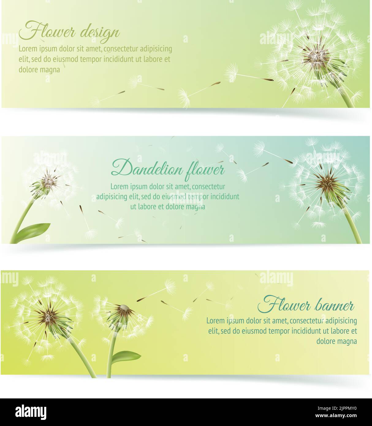 Collection of banners and ribbons with summer dandelion and pollens design elements isolated vector illustration Stock Vector