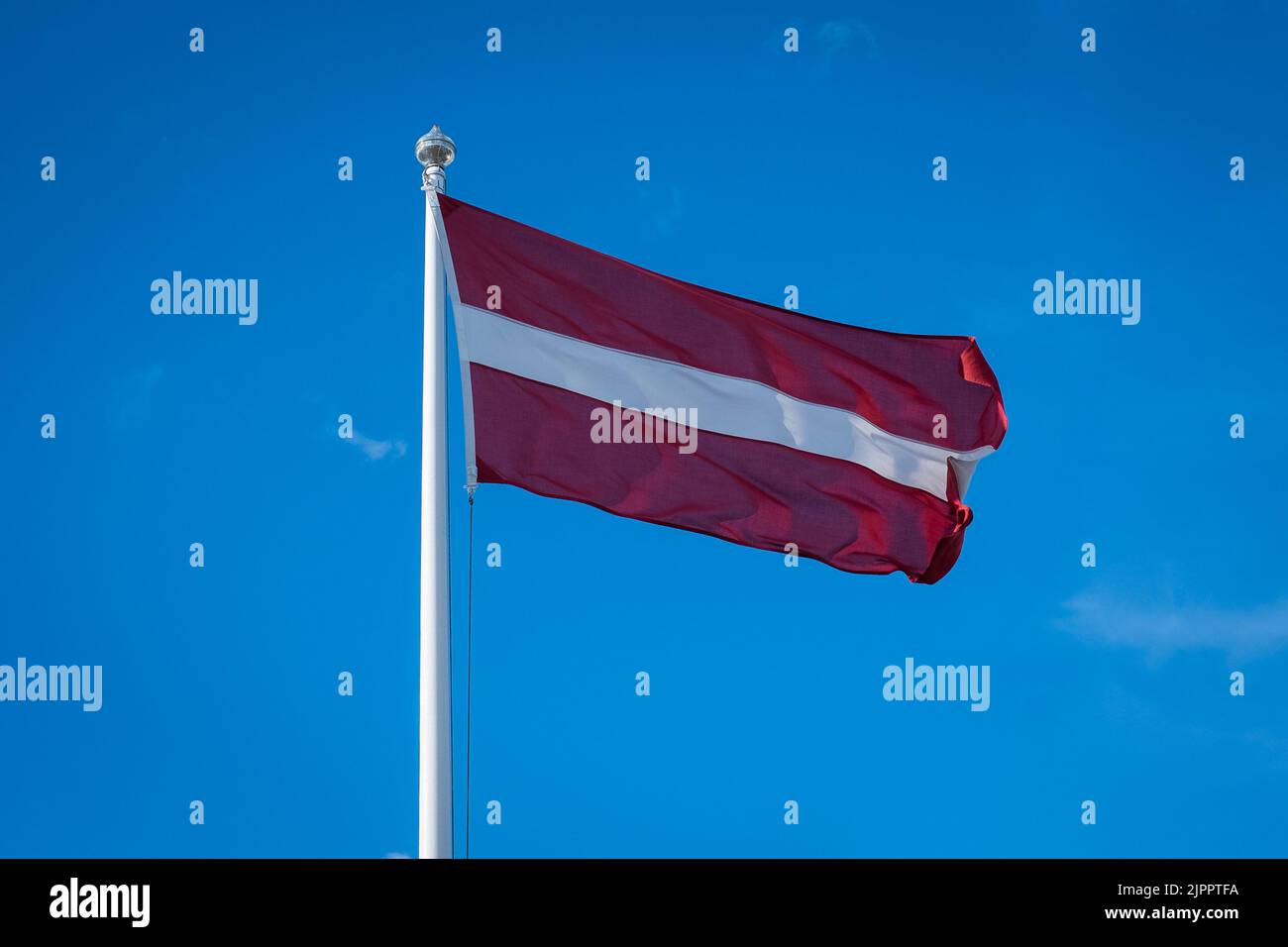 Close-up of flag of Estonia on blue sky background. Estonian flag ...