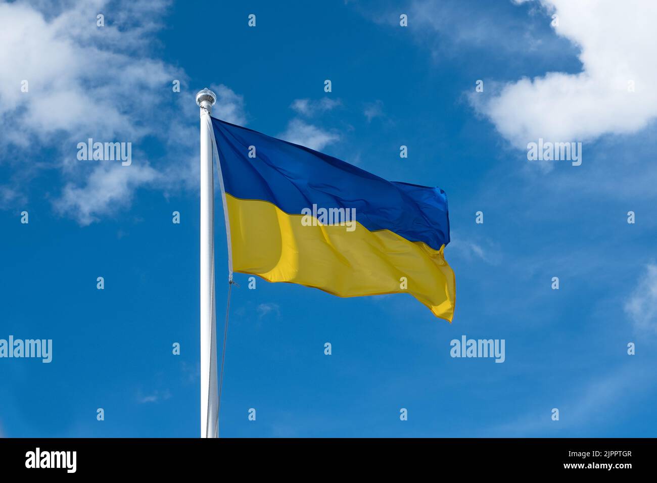 Flag of Ukraine on white sky background. National symbol of freedom and independence. Ukrainian flag waving in wind. Stock Photo