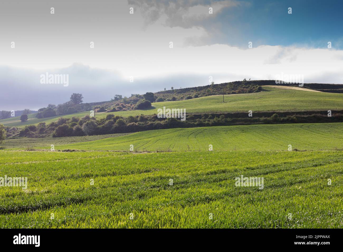 Fields of Castile, Spain in Spring, near the city of Burgos. Stock Photo
