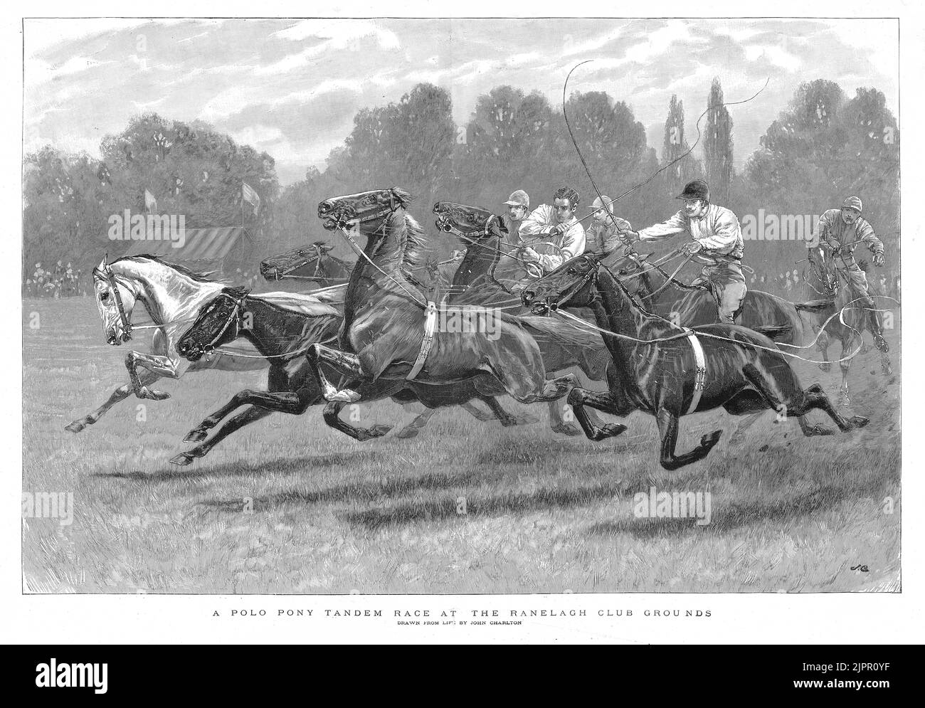 Engraving of a polo pony tandem race at the Ranelach Club Grounds, drawn by John Charlton, 1896 Stock Photo